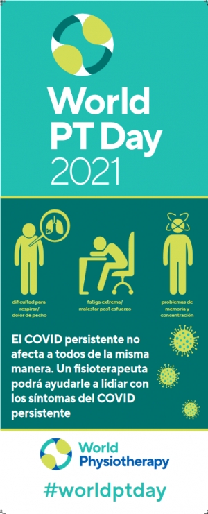 D&iacute;a mundial de la fisioterapia - Akos fisioterapia